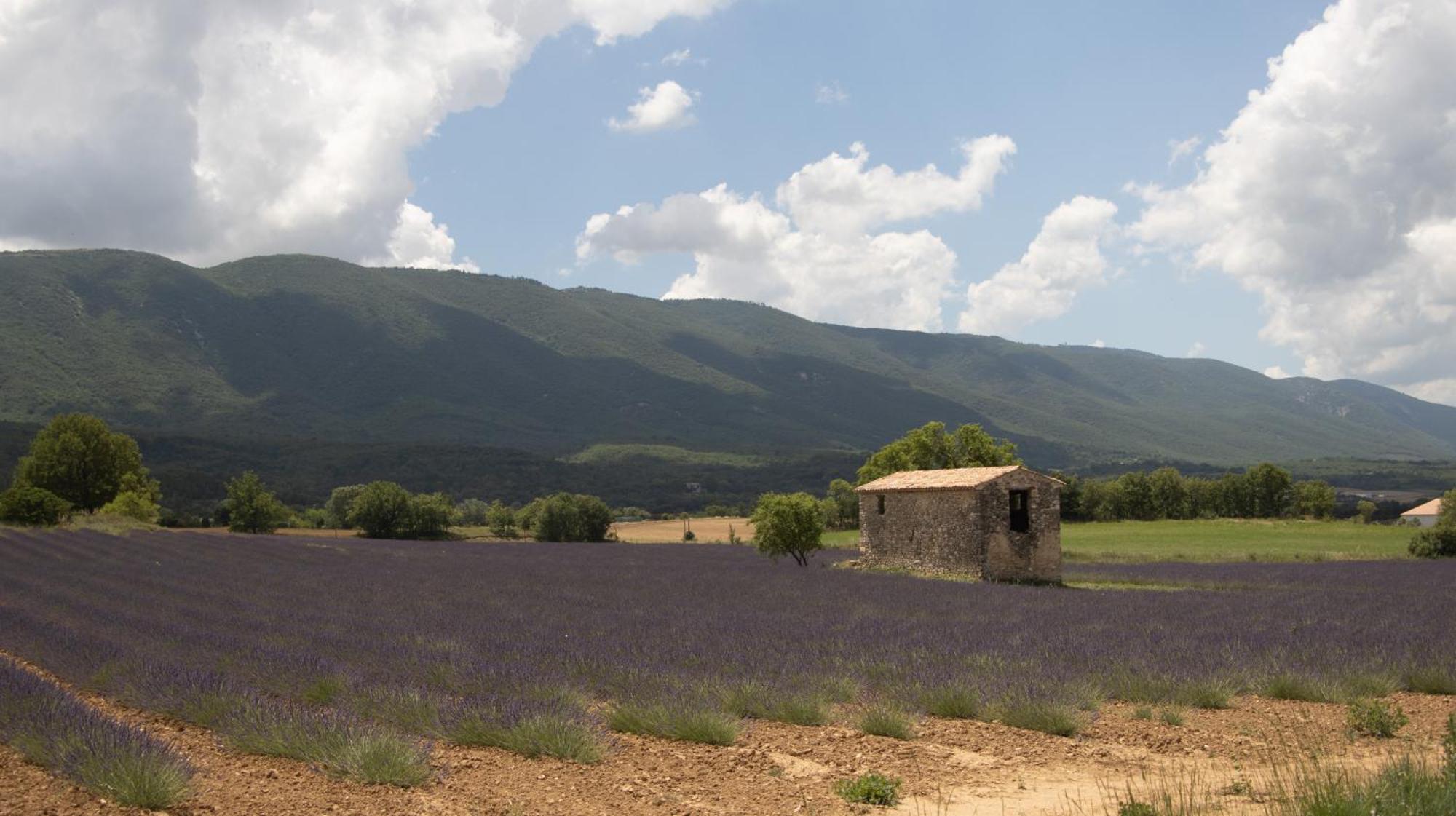 Studio Dans Le Luberon Cereste Exterior photo
